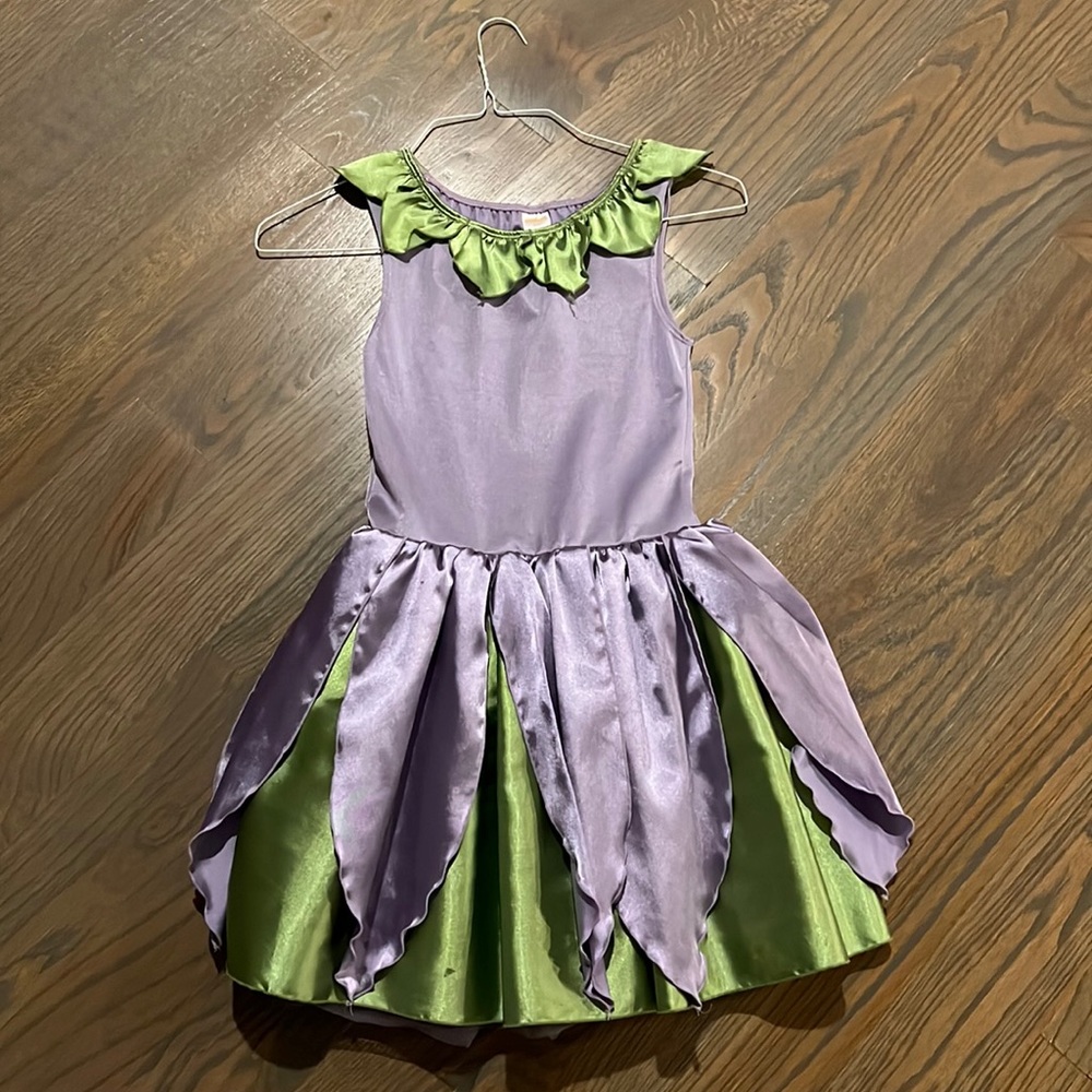 Gymboree costume violet and green